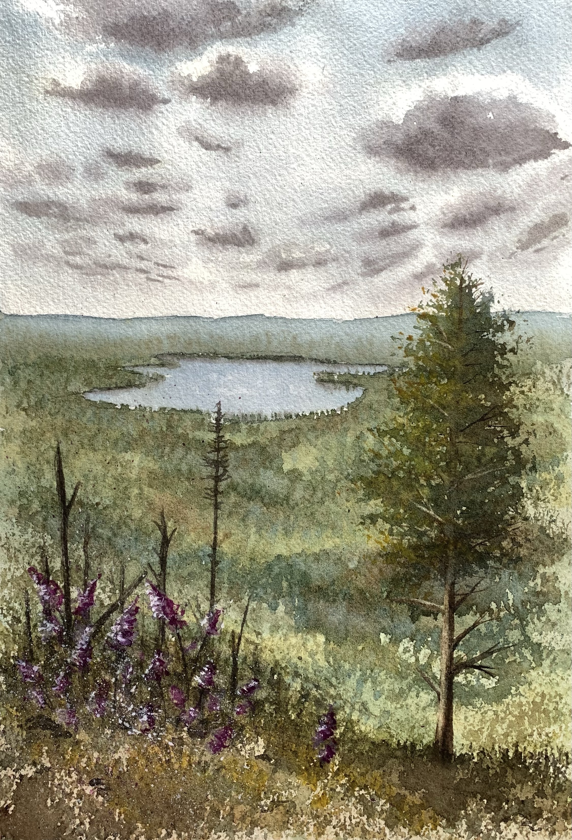 Skog och dalgång.