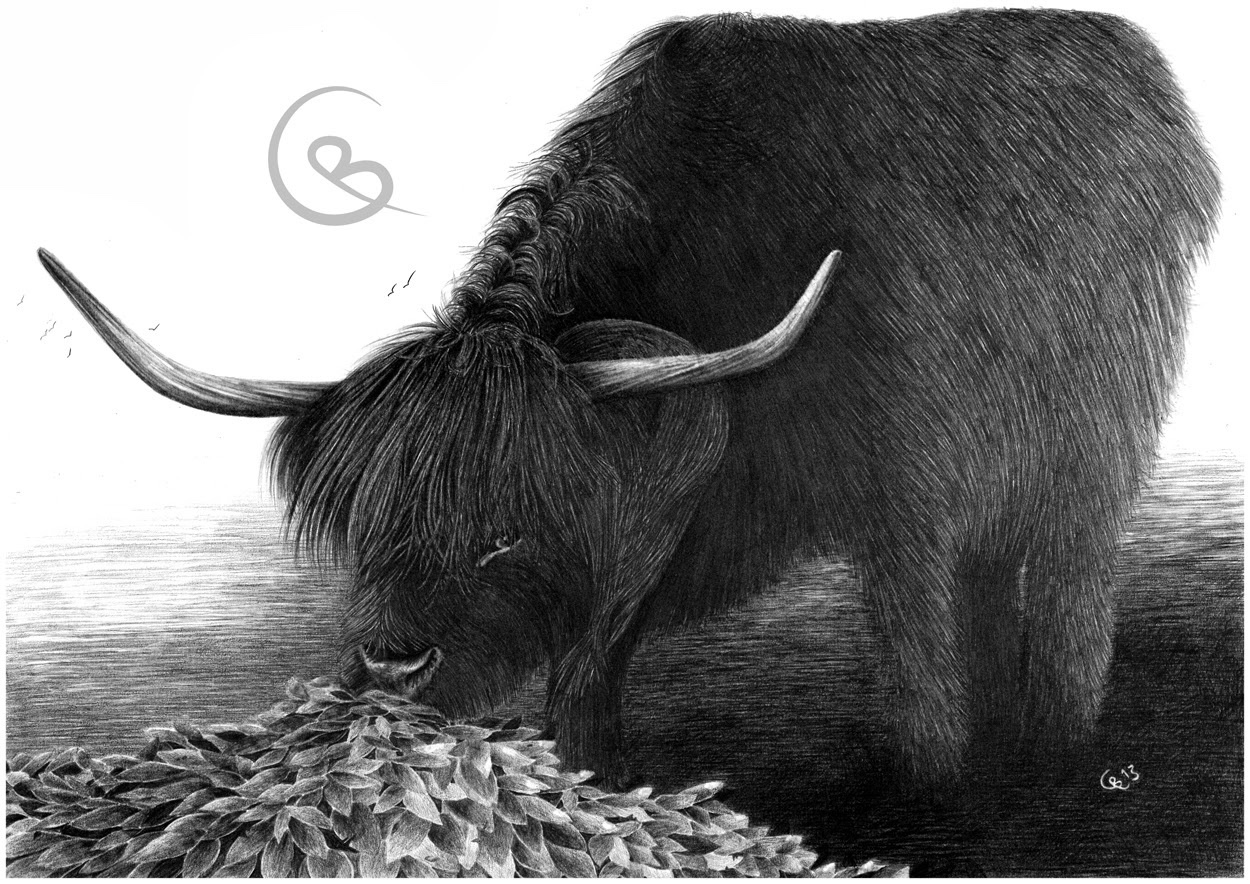 En tjur som äter löv.